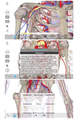 Game screenshot 3D Organon Anatomy - Heart, Arteries, and Veins apk