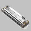 Learn To Play The Harmonica - ANTHONY PETER WALSH