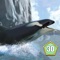 Orca Killer Whale Survival Simulator 3D - Play as orca, big ocean predator!