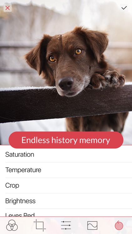 Easy Edit - Powerful Video Editor, yet easy to use screenshot-4