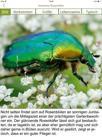 Screenshot #6 pour Insekten & Schmetterlinge bestimmen – entdecken Sie die 100 wichtigsten Arten in der Natur und im eigenen Garten