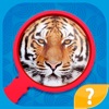 Zoom Pics - close up zoomed images and guess words trivia quiz game