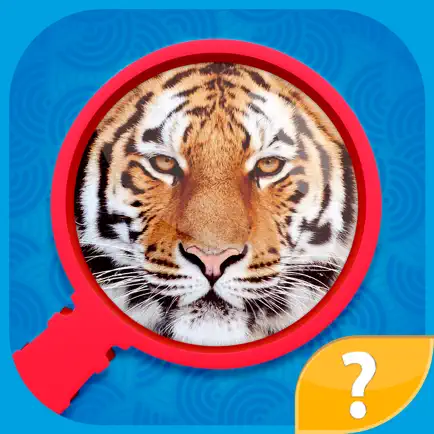 Zoom Pics - close up zoomed images and guess words trivia quiz game Cheats