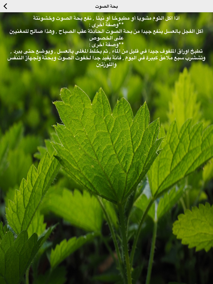 أسرار العلاج بالأعشاب