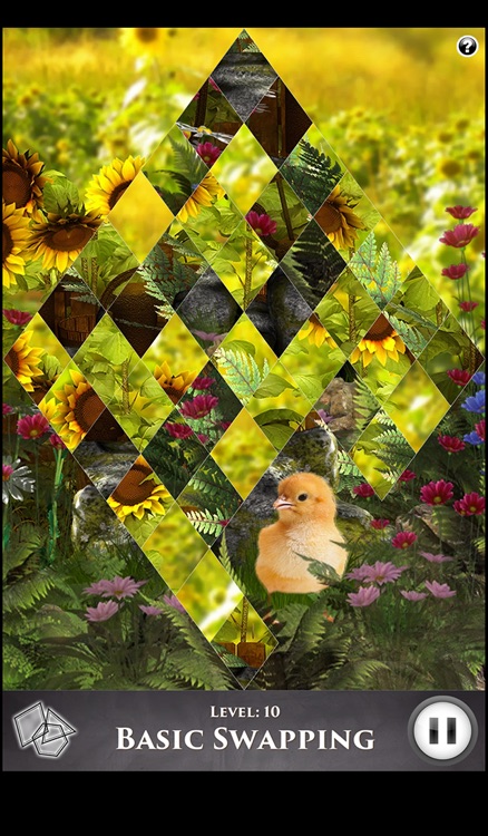 Hidden Scenes - Cute Critters