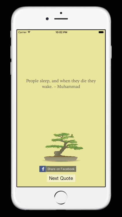 Quotes on Zen