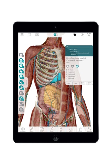 Screenshot #5 pour For Organizations - 2016 Human Anatomy Atlas