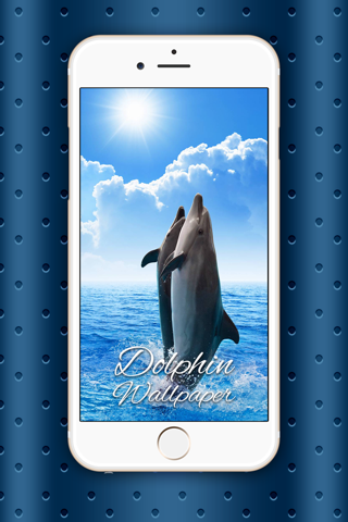 Dolphin Wallpaper HD Collection – Lovely Ocean Themes And Cute Retina Backgrounds screenshot 2