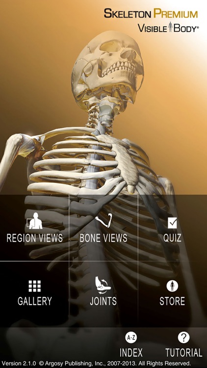 For Organizations - Skeleton Premium