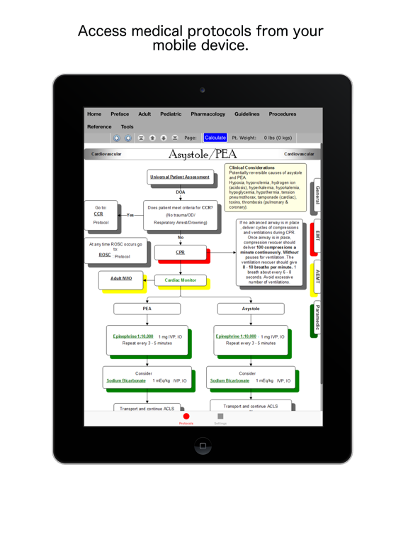 Responsoft iPad screenshot