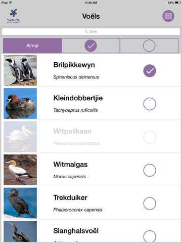 Screenshot #5 pour Sasol Algemene Voëls vir Beginners (Lite): Blitsfeite, foto's en video's van 46 Suider-Afrikaanse voëls