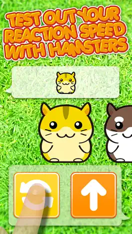 Game screenshot Hamster Dojo - Best Fun Pocket Games Play With My Littlest Pet Hamsters apk
