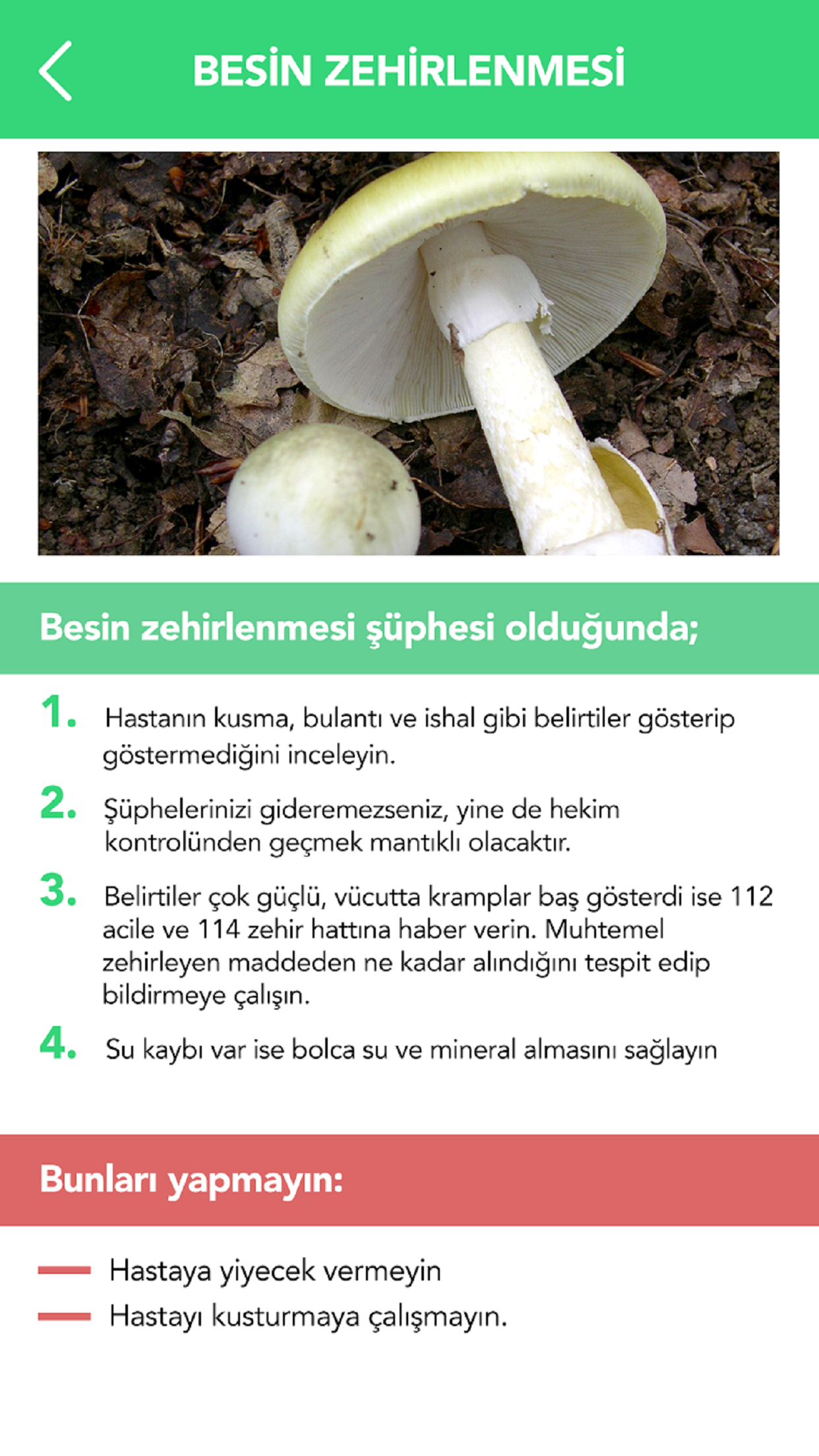 Zehirlenmeler