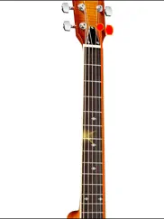 dobro tuner simple ipad images 3