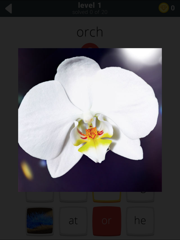 Words and Pics Puzzle