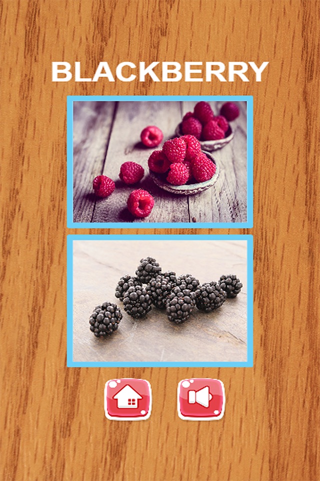 Education Game Learning English Vocabulary With Picture - Fruit screenshot 3