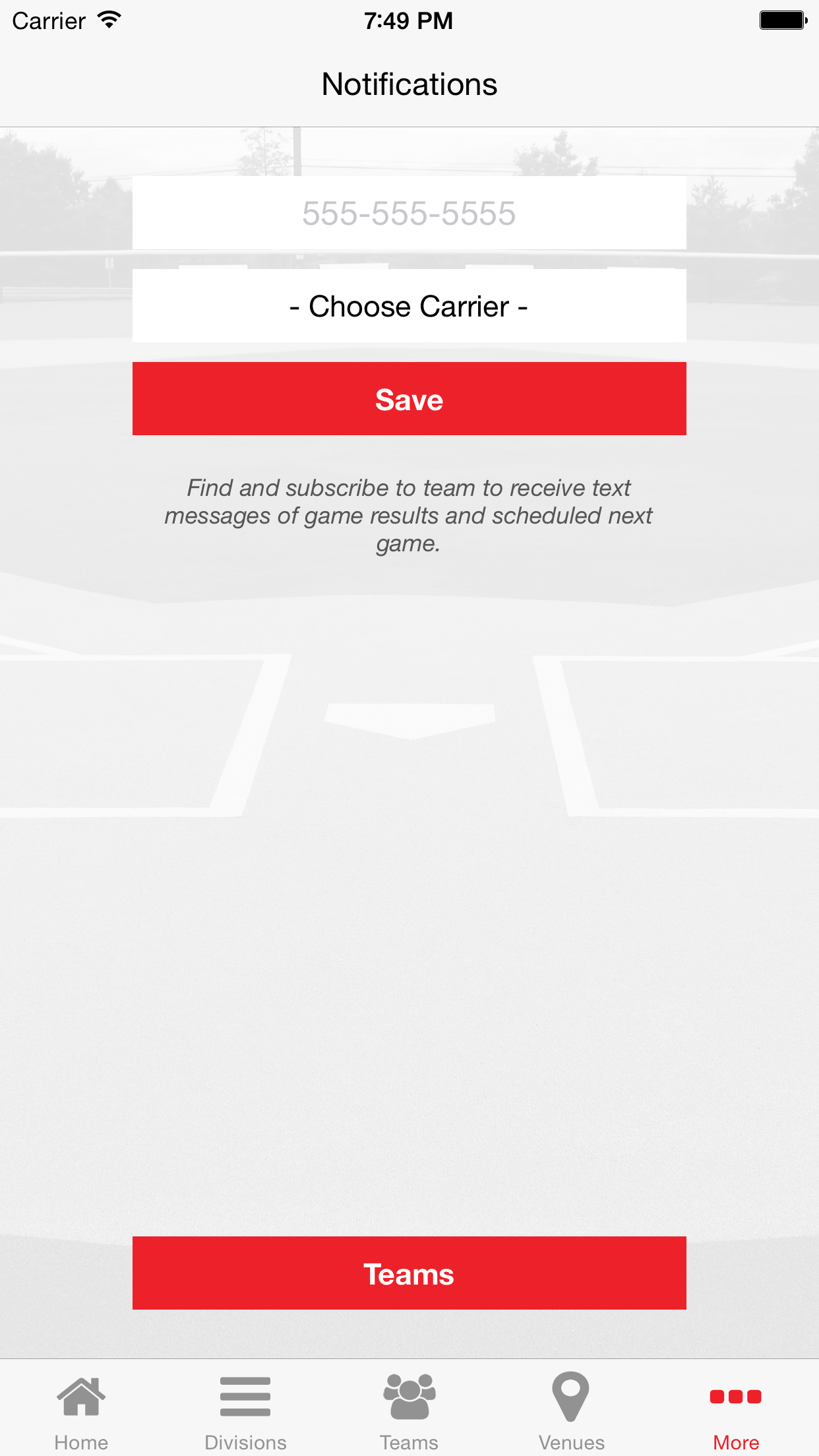 New York Elite Baseball screenshot 4