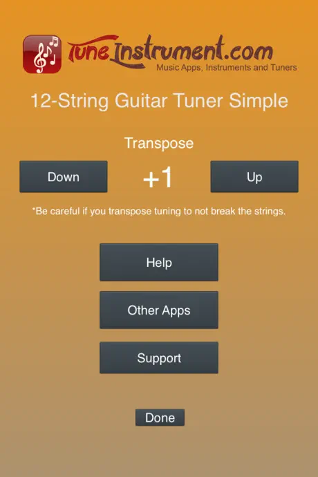 12-String Guitar Tuner Simple