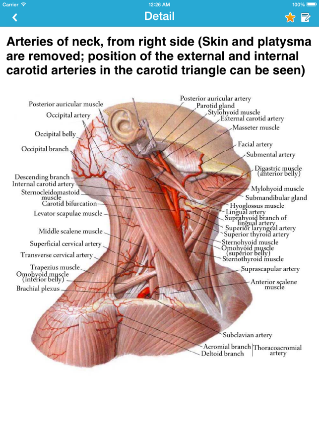 ‎Human Anatomy 2017 Screenshot