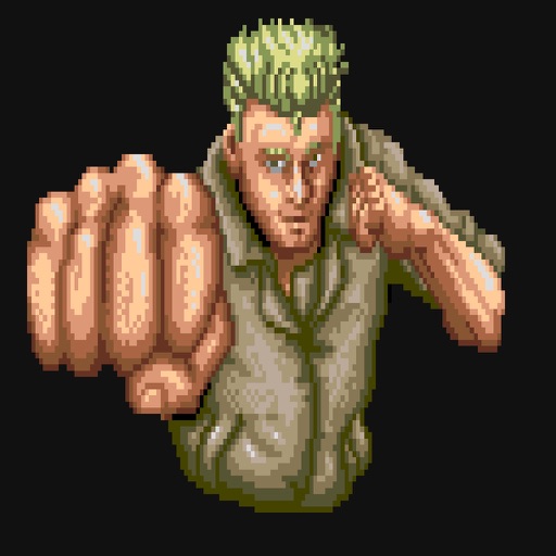 Fist of Street Hero icon