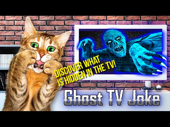 Screenshot #6 pour Ghost TV Joke