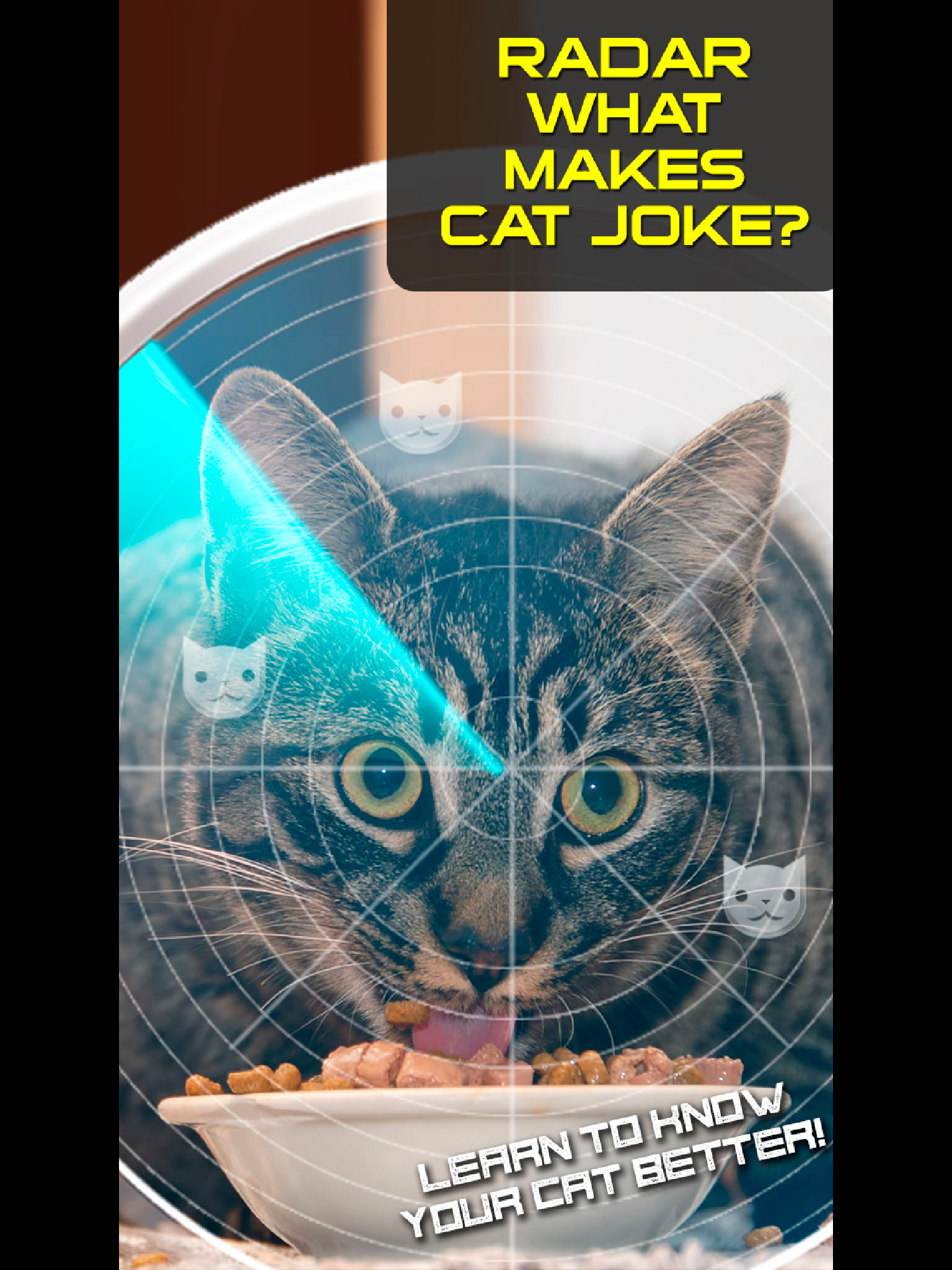Radar What Makes Cat Joke