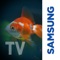 Turn your Samsung Smart TV into your very own aquarium using your iPhone or iPod device