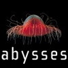 Abysses l'exposition