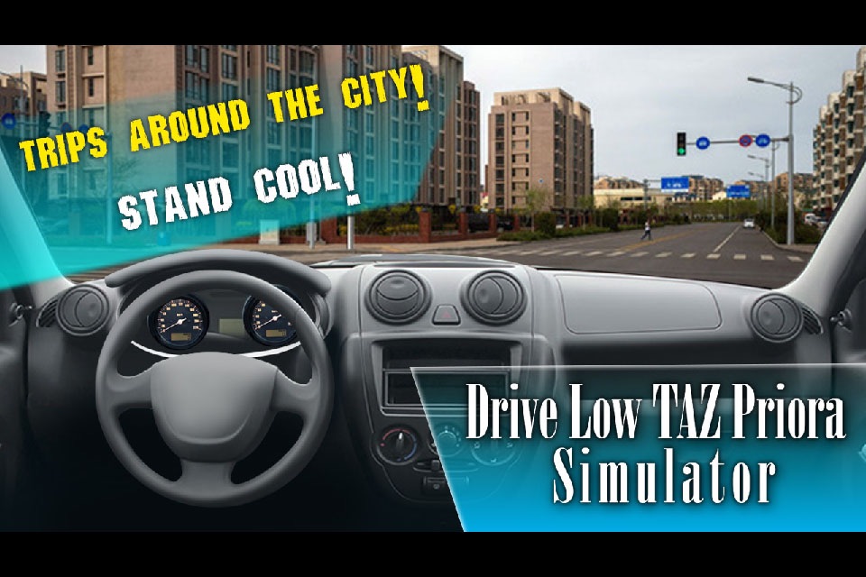 Drive Low TAZ Priora Simulator screenshot 2