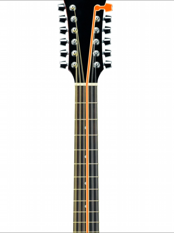 Screenshot #6 pour 12-String Guitar Tuner Simple