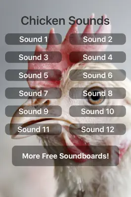 Game screenshot Chicken Sounds! mod apk