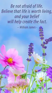 wise picture quotes - wallpapers with life lessons & saying images айфон картинки 3