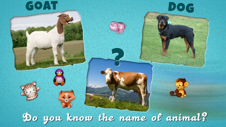 Real Farm Animal Sounds