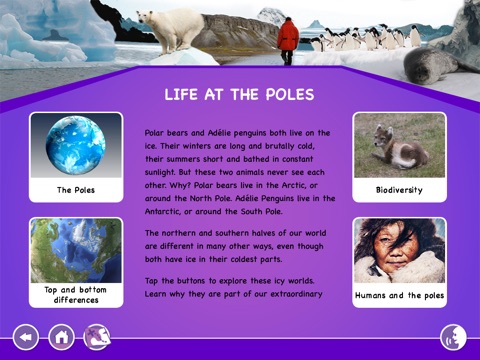 Discover MWorld Life At Poles screenshot 2