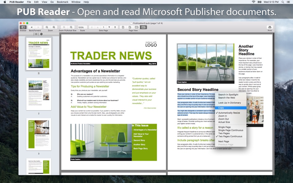 PUB Reader : for MS Publisher - 3.1 - (macOS)