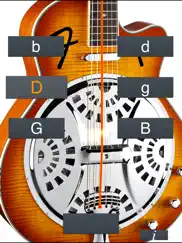 dobro tuner simple ipad images 2