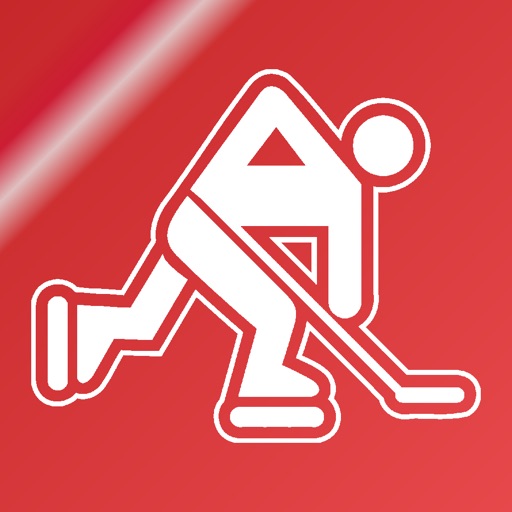 Name It! - Detroit Hockey Edition icon