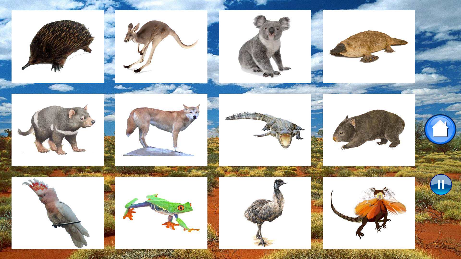 Animals Australia screenshot 10