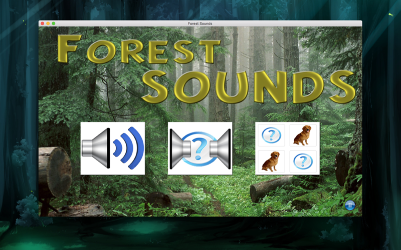 Forest Sounds thumbnail 1