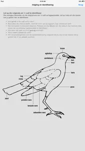 Sasol Algemene Voëls vir Beginners (Lite): Blitsfeite, foto's en video's van 46 Suider-Afrikaanse voëls screenshot #5 for iPhone