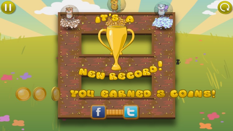 Hamster Chase screenshot-3