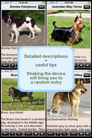 Dogs Encyclopedia Plus+ screenshot 2