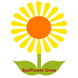 Sunflower Grow