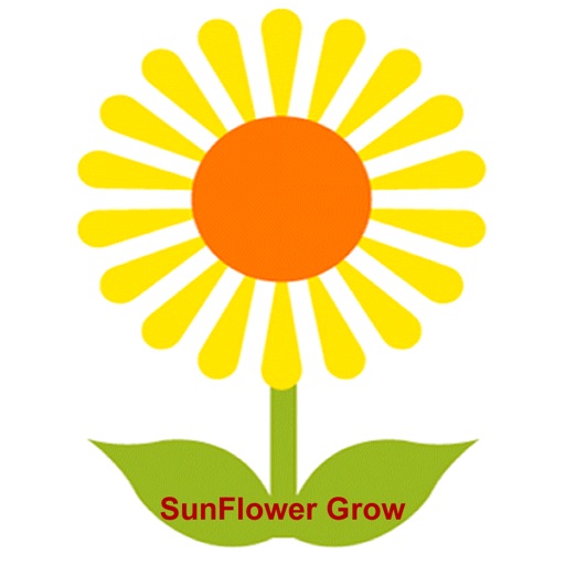 Sunflower Grow