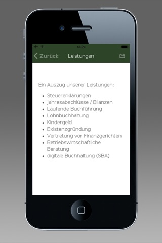 Steuerberater Steffen Feiereis screenshot 2