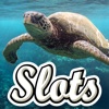 Deep Sea Turtle Slots - Big Payouts and Mega Wins!