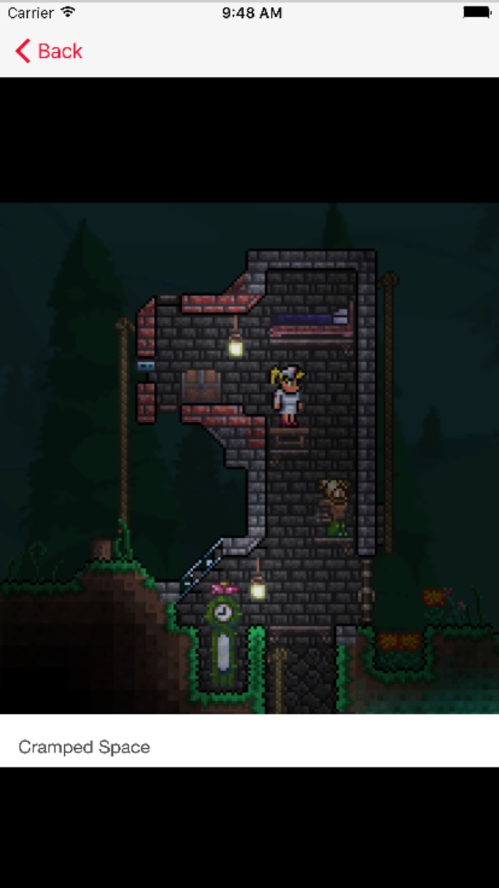 Multiplayer PvP for Terraria