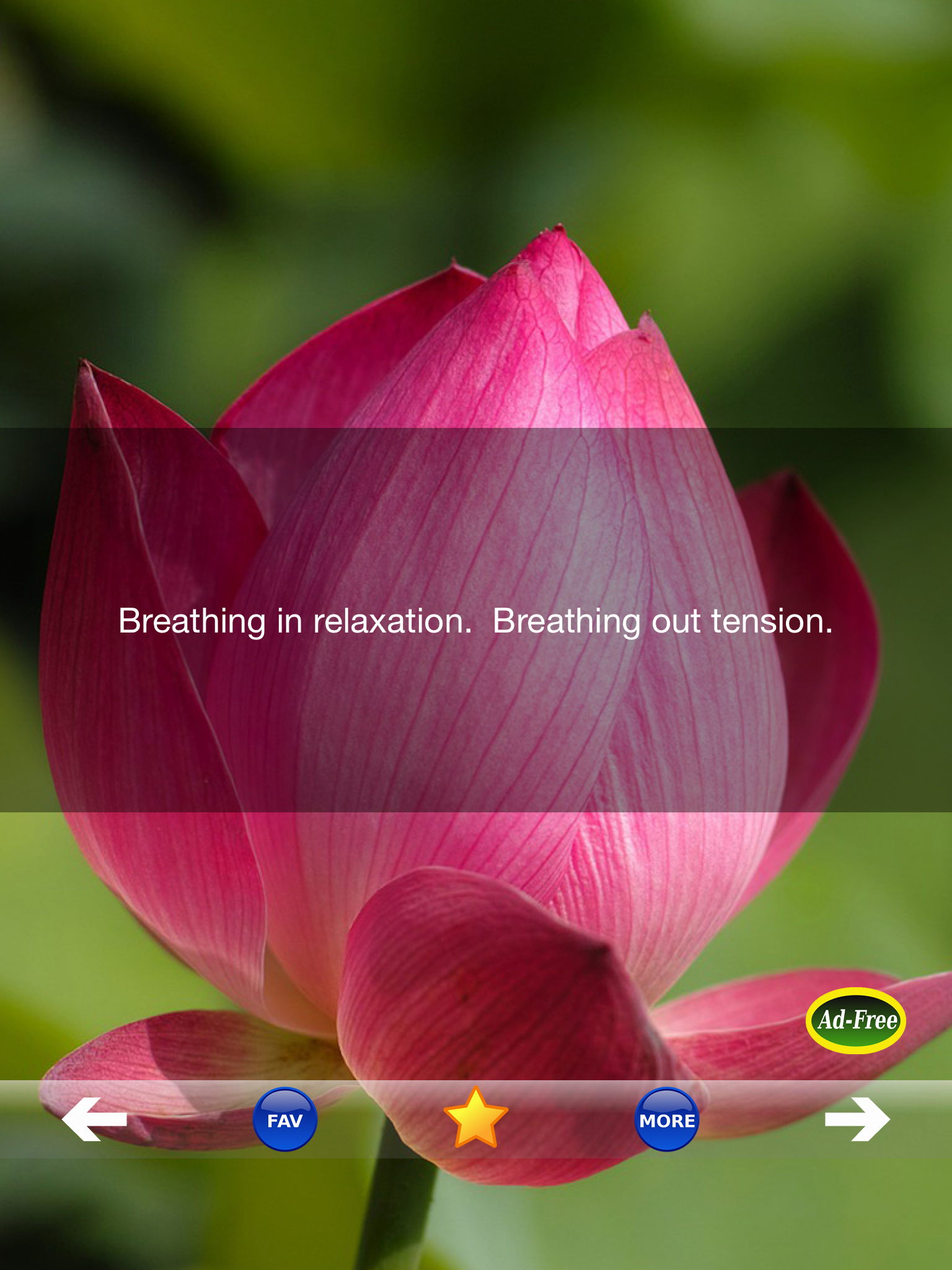 Meditation and Relaxation FREE! Daily Stress & Anxiety Relief Companion With Simple Guided Mindfulness Inspirations! screenshot 5