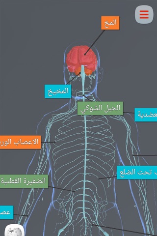 Anatomy AR screenshot 3