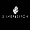 Silverbirch